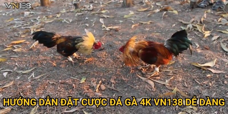 Đá Gà 4K Vn138 – Xem Trận Đấu Siêu Nét Không Giật Lag 3 Hướng dẫn đặt cược Đá Gà 4K Vn138 dễ dàng